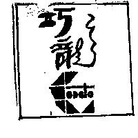 巧龍設計圖 CODATA
