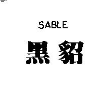 黑貂 SABLE