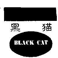 黑猫及圖 BLACK CAT