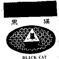 黑猫及圖 BLACK CAT