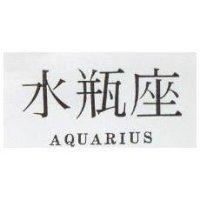 水瓶座 AQUARIUS