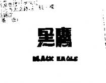黑鷹 BLACK EAGLE