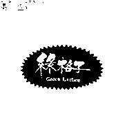 綠格子 Green Lattice