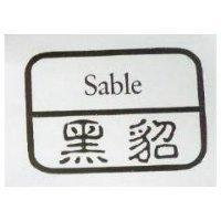 黑貂 sable