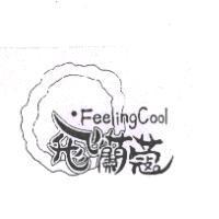 飛蘭蔻及圖 FEELINGCOOL