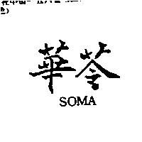 華苓 SOMA