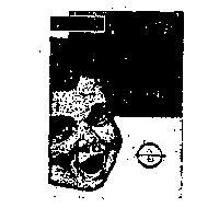 子母及圖