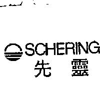 先靈 Schering & Electroplating logo