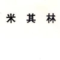 米其林 MICHELIN in Chinese Characters