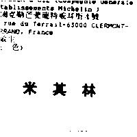 米其林 MICHELIN in Chinese Characters
