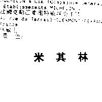 米其林 MICHELIN in Chinese Characters