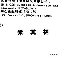 米其林 MICHELIN in Chinese Characters