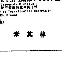 米其林 MICHELIN in Chinese Characters