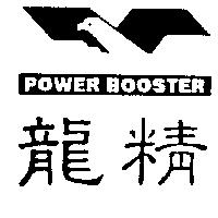 龍精及圖 POWER BOOSTER