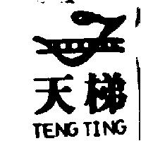 天梯及圖 TENG TING