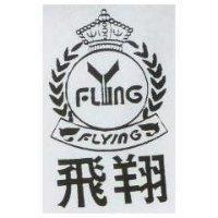 飛翔及圖 FLYING
