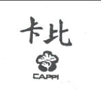 卡比及圖 CAPPI