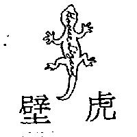 壁虎及圖 House Lizard