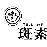 仙資堂斑素及圖 TULL JYE HSIEN TZU TARNG