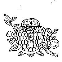蕃麗及圖
