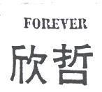 欣哲 FOREVER