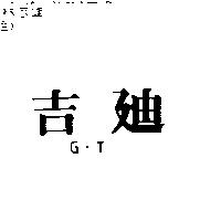 吉迪 G.T.