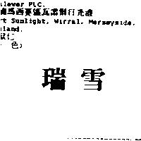 瑞雪