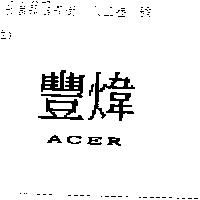 豐煒 ACER