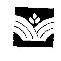 花形設計圖