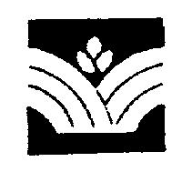 花形設計圖
