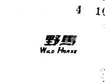 野馬 WILD HORSE 