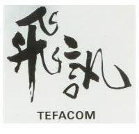 飛訊 TEFACOM