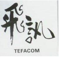 飛訊 TEFACOM