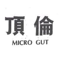 頂倫 MICRO GUT