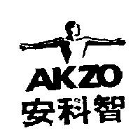 安科智 AKZO VIGNET '87