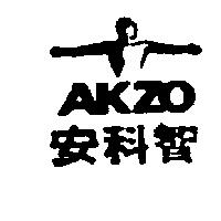 安科智 AKZO VIGNET '87