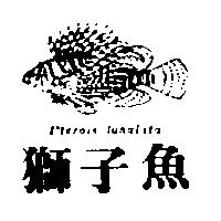 獅子魚及圖 Pterois lunulata