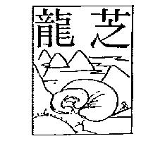 龍芝及圖