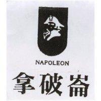 拿破崙及圖 NAPOLEON