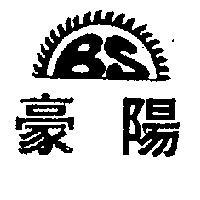 豪陽 BS 及圖 