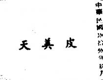 天美皮
