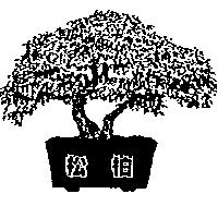 松柏及圖