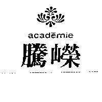 騰嶸及圖 academie