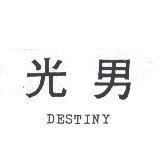 光男 DESTINY