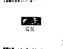 大通 GX 