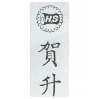 賀升及圖 HS