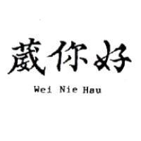 葳你好 WEI NIE HAU