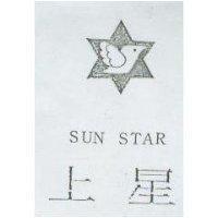 上星及圖 SUN STAR