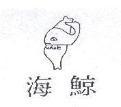 海鯨及圖 whale