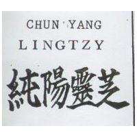 純陽靈芝 CHUN YANG LINGTZY